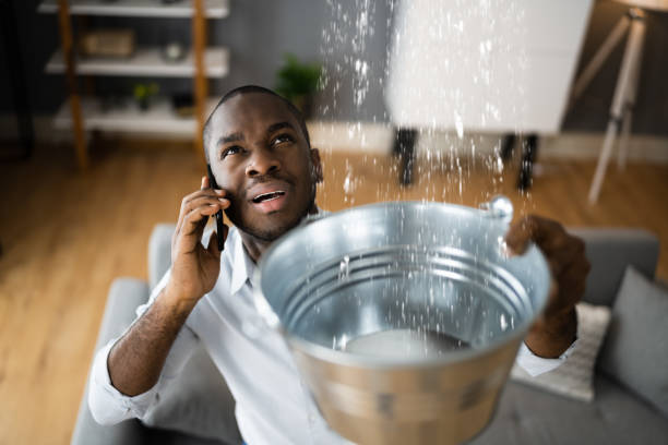 Best Water damage restoration near me  in Wingdale, NY
