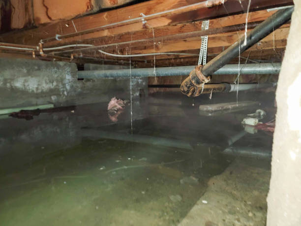 Best Flood damage cleanup  in Wingdale, NY