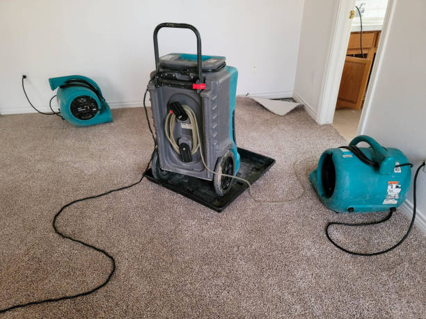 Best Sewage cleanup and water damage restoration  in Wingdale, NY