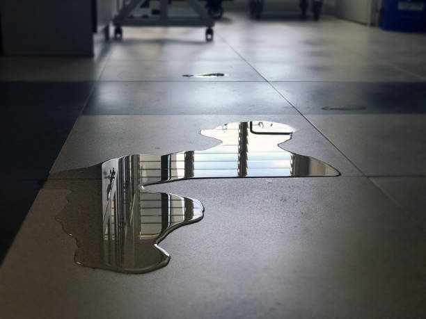 Best 24-hour water damage restoration  in Wingdale, NY