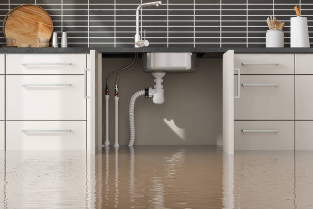 Best 24/7 water damage repair  in Wingdale, NY