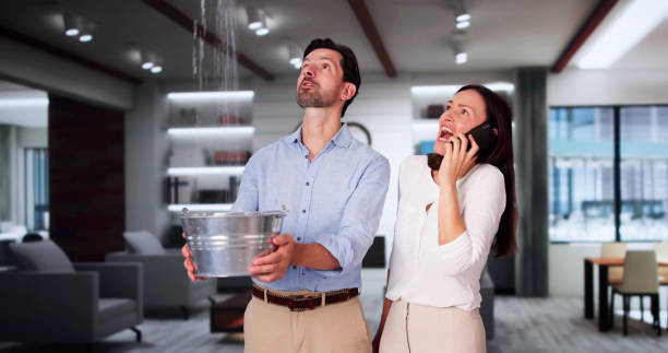 Best Water damage mitigation services  in Wingdale, NY